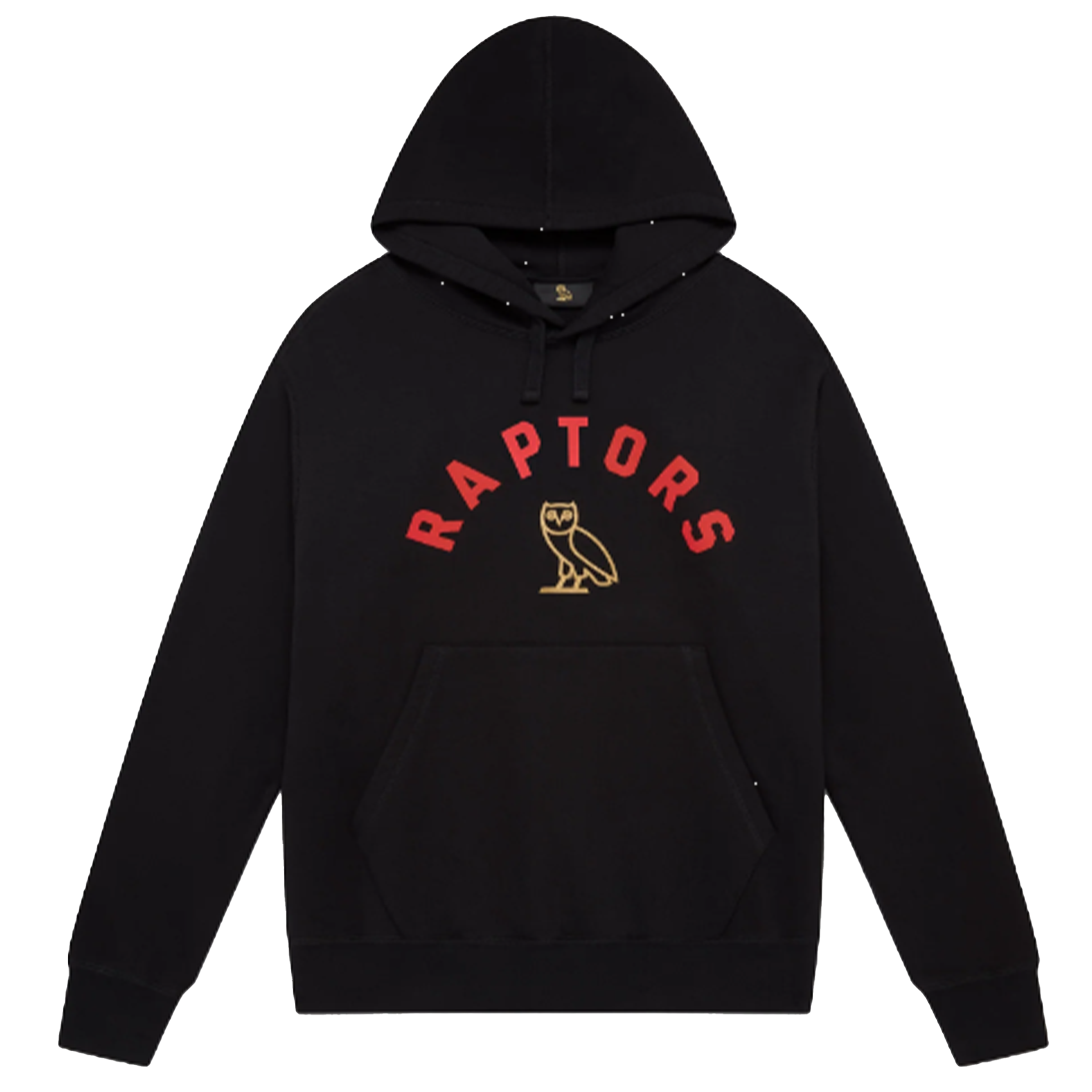 Drake 2025 raptors hoodie