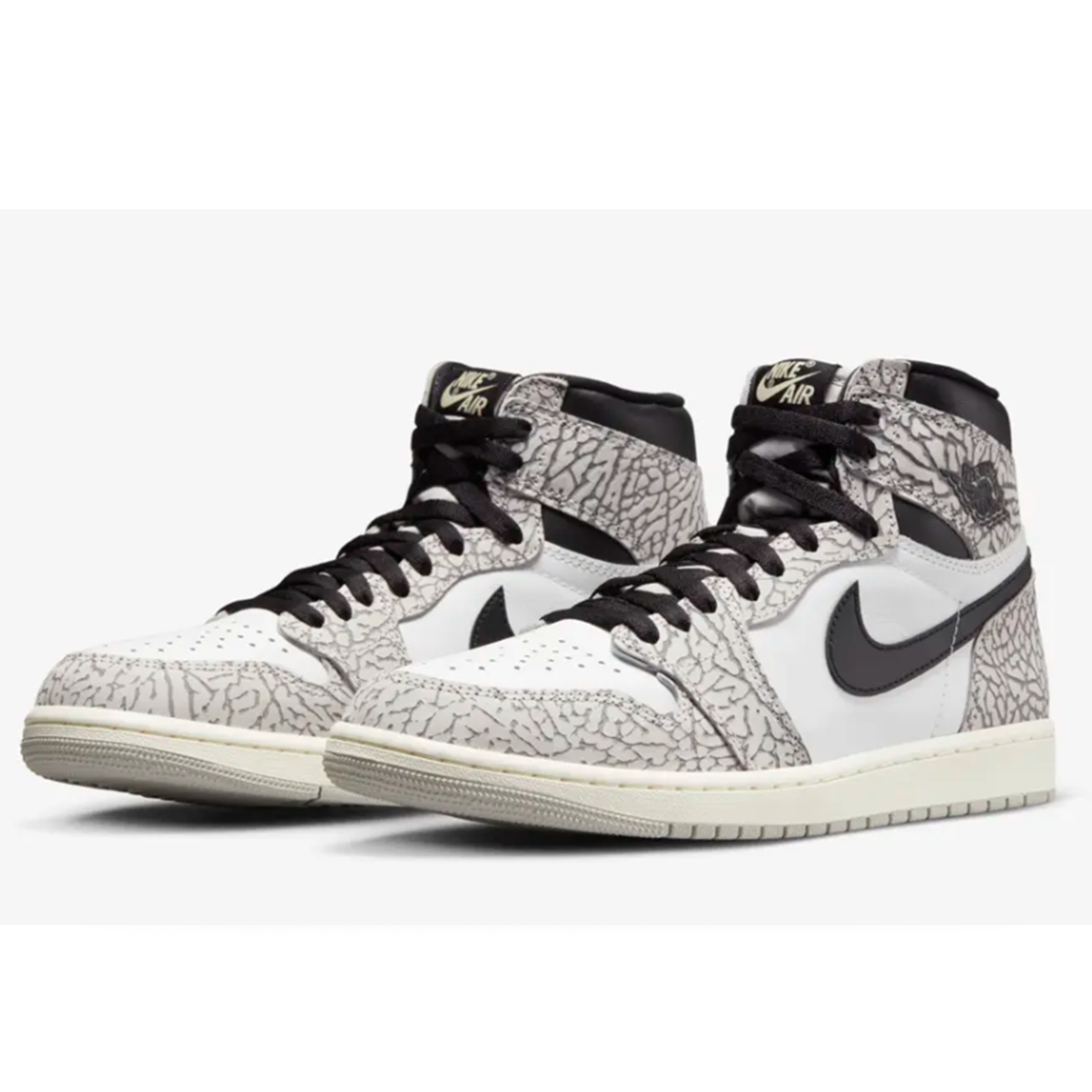 Air Jordan 1 Retro High -