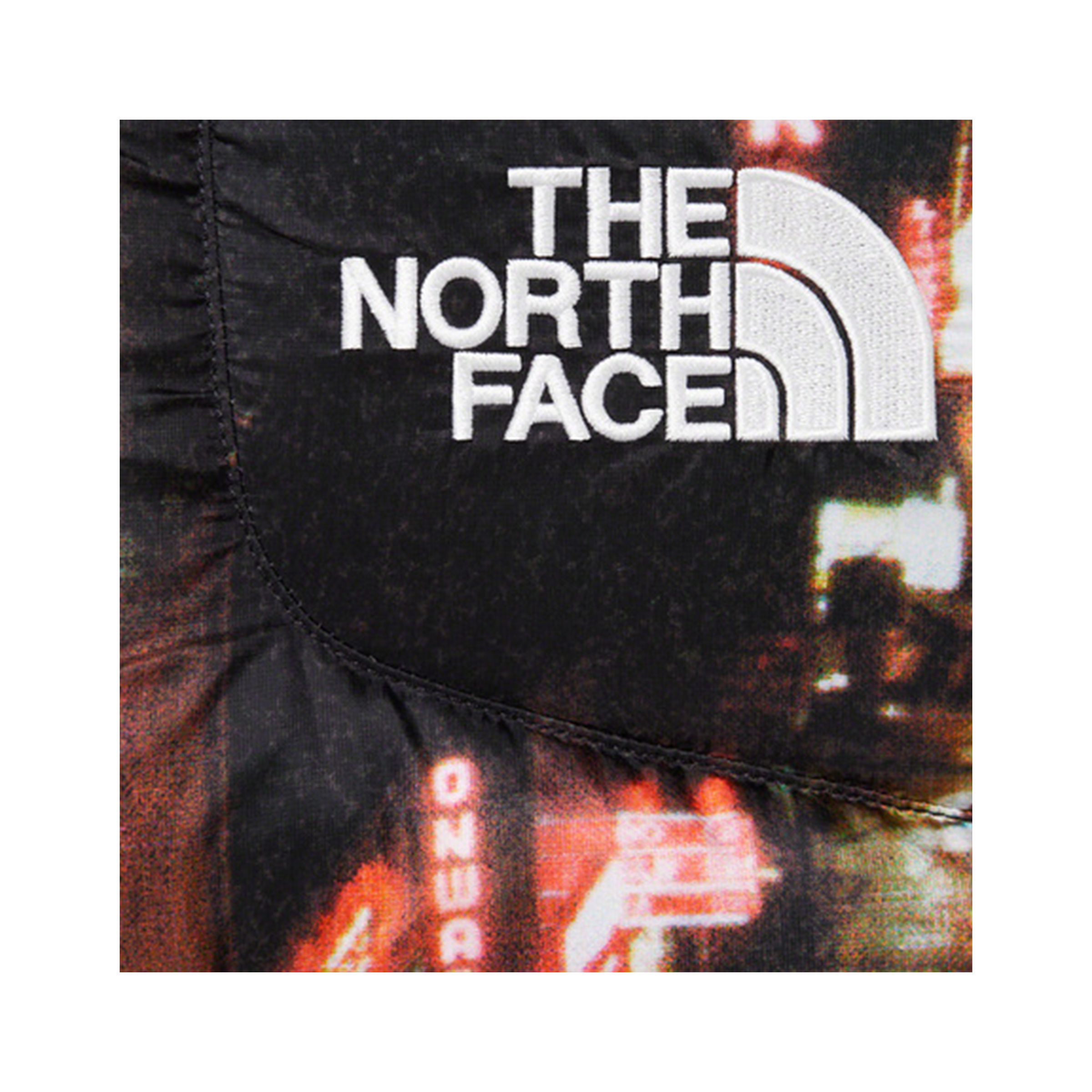 Supreme x The North Face